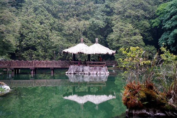 阿里山森林湖泊與橋