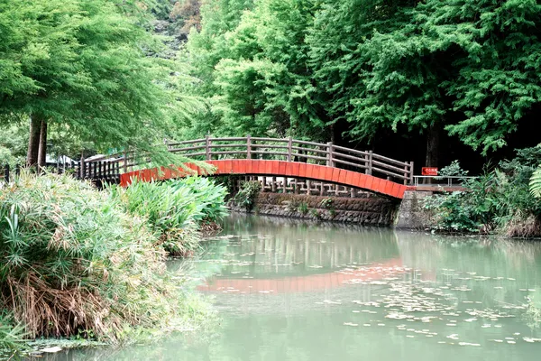 宜蘭森林溪流紅橋